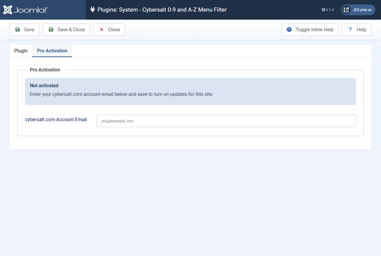 The Pro Activation tab showing the Not activated status and the cybersalt.com Account Email field