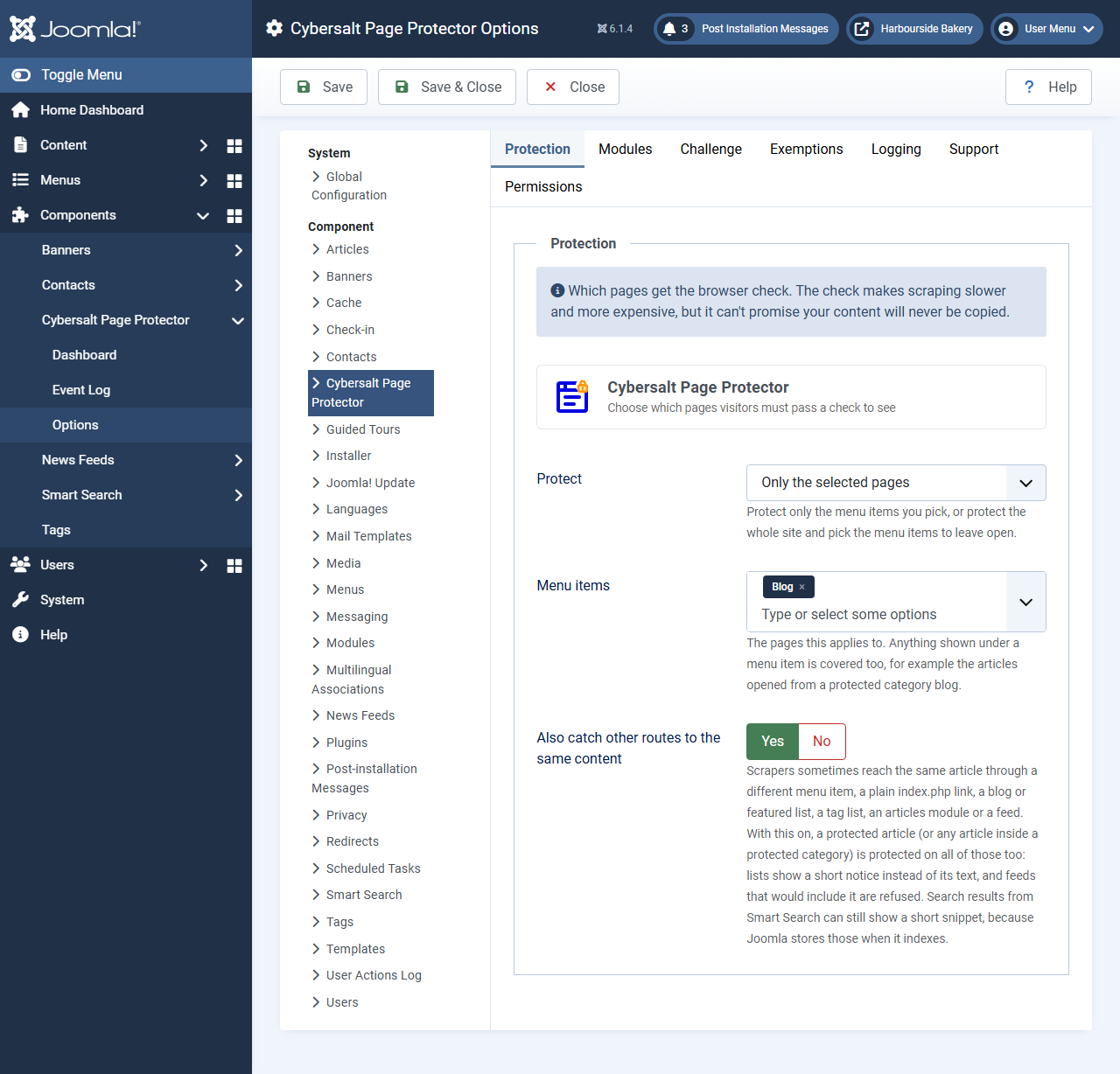 The Protection tab with Protect set to Only the selected pages, the Blog menu item selected, and Also catch other routes to the same content set to Yes
